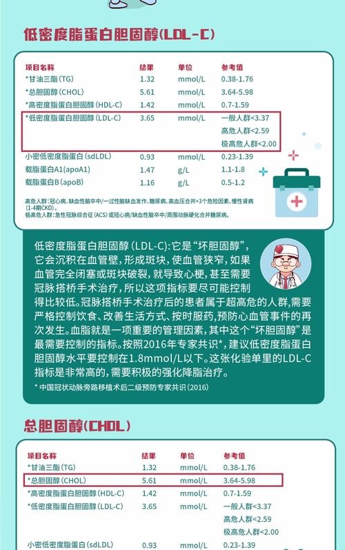 血脂健康管理 主动干预，守护生命之源